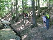 Abenteuerspiele im Wald