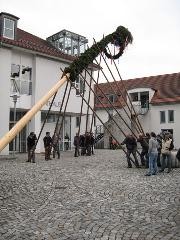 Maibaum stellen