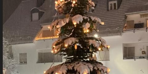 Schneebedecker Weihnachtsbaum