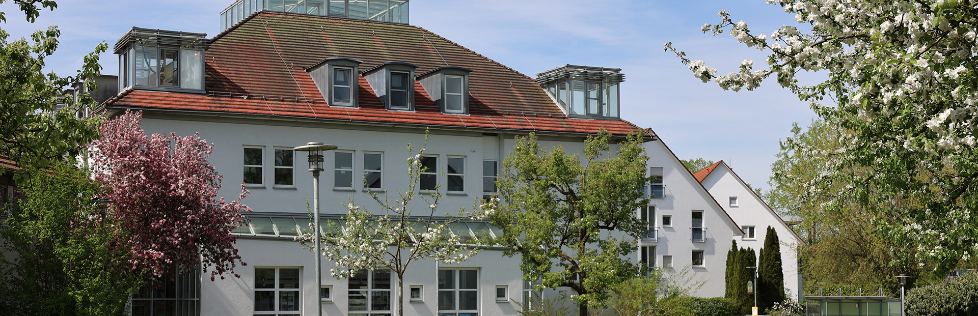 Rückansicht des Rathauses mit blühenden Bäumen